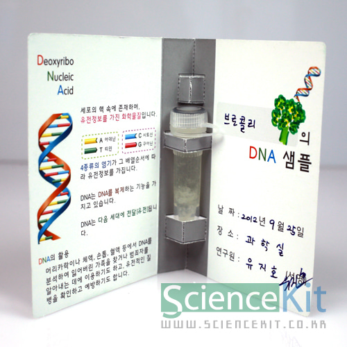 DNA추출- 식물세포(12인용)