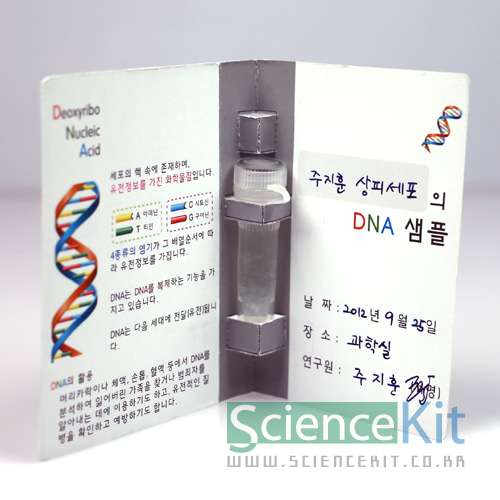 DNA추출- 동물세포(12인용)