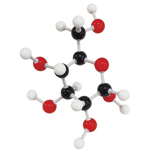 포도당 분자구조모형조립세트(1세트)48점 KSIC-14022