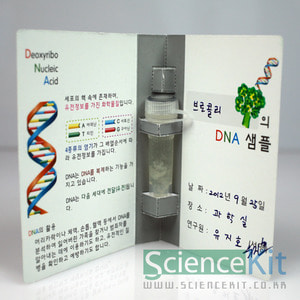 DNA추출-식물세포,동물세포(12인용)