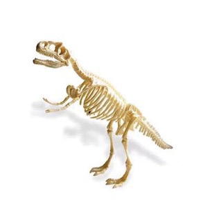 공룡화석 발굴 KIT(티라노사우르스)옵션선택 KSIC-1557