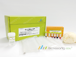 전기영동 KIT (색료 sample) ED4008-1