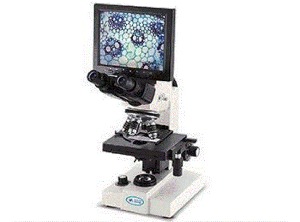 디지털 멀티미디어 영상현미경 생물영상현미경 KM-BMU1500/생물쌍안 영상현미경/과학교구